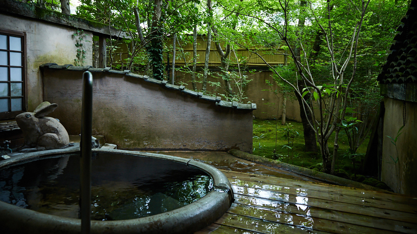 1.草庵秋桜 3430059