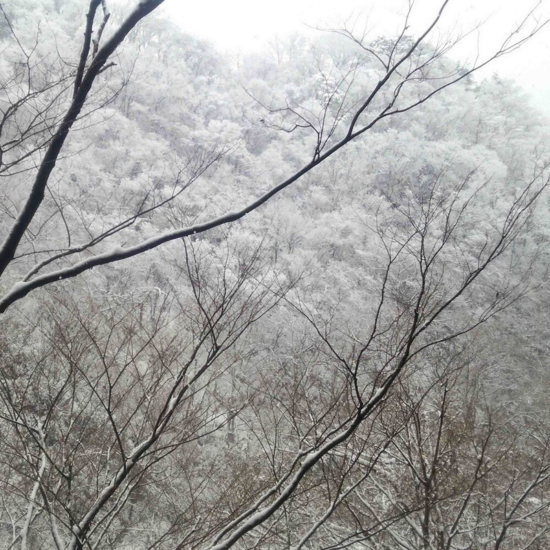 施設からの眺望