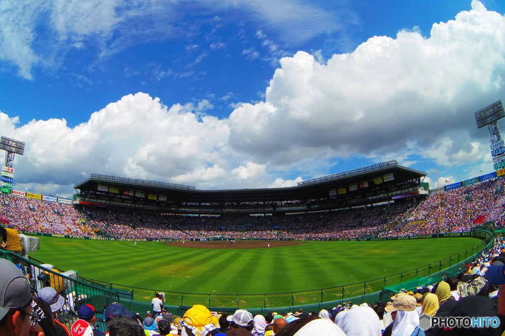  やっぱり生は違う！心震える野球観戦3486057