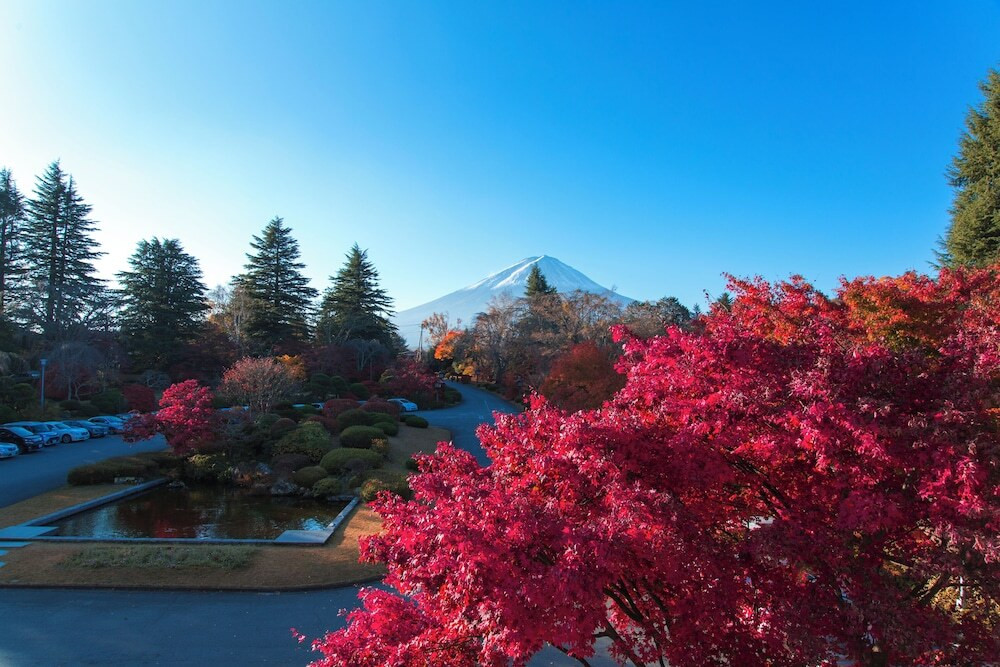 庭園