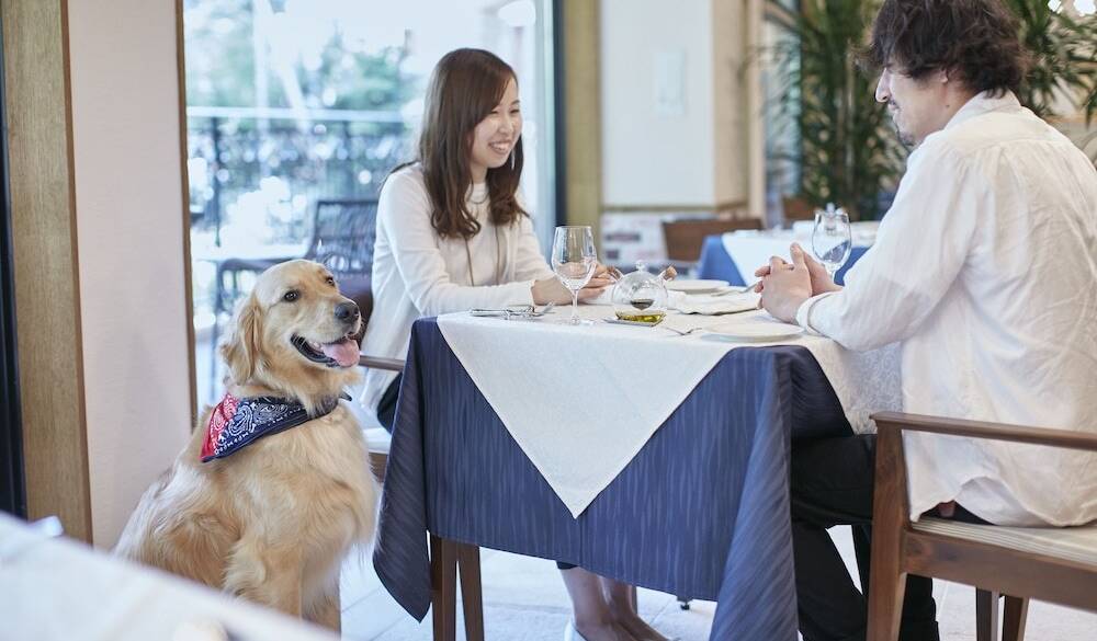 愛犬も一緒に
フレンチを堪能 / 3