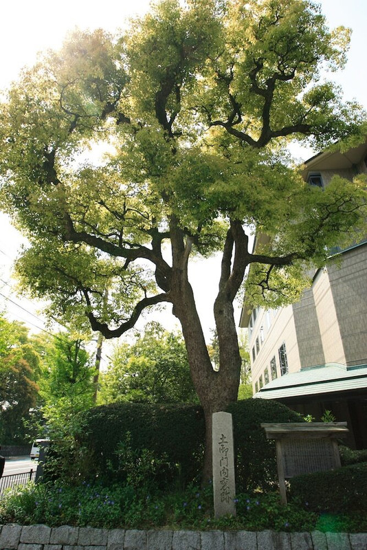 施設の敷地