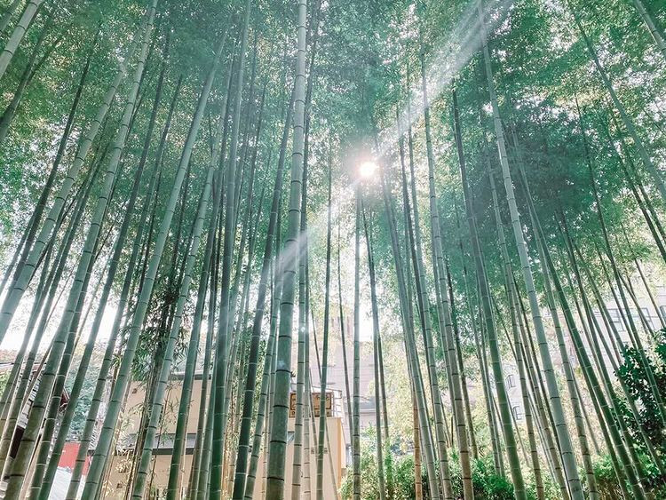 pizzajunさんの写真 / 2