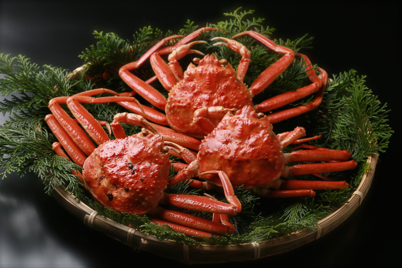 3.女子1人旅初心者におすすめ♪カプセルホテル「THE BEEHIVE」3636309