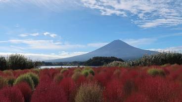 ランド ビュー / 15