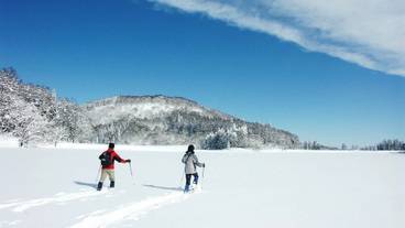 スノー スポーツとスキー / 4