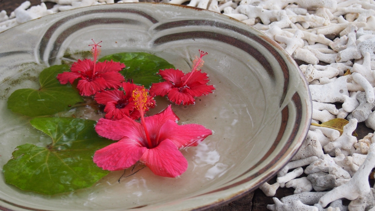 インスタを賑わす女性に人気の作品って？1777182