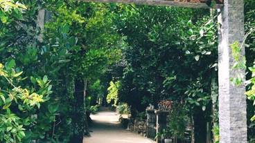 観光スポット / 5