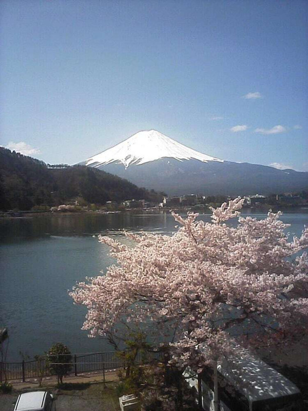 施設からの眺望