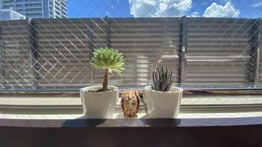 施設内の設備 / 1