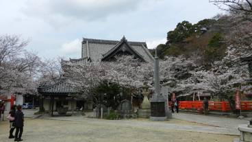 観光スポット / 7