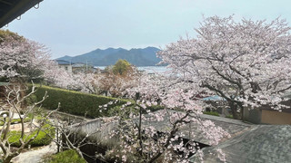 スイート ガーデンビュー 大観 (禁煙)