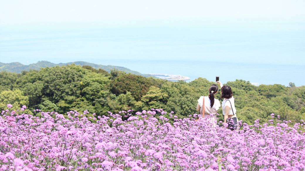 ゆるりと過ごす
心が満たされる女子旅 / 1