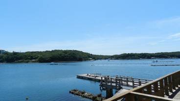 部屋からの景観 / 5