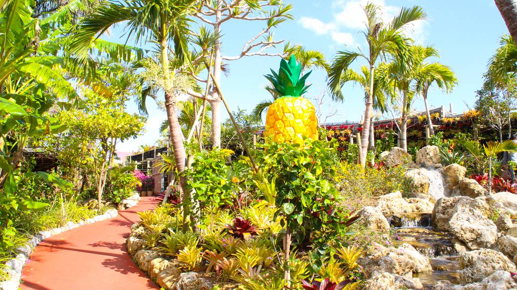 ナゴパイナップルパーク / 2