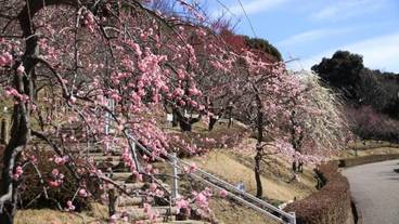 施設の敷地 / 15