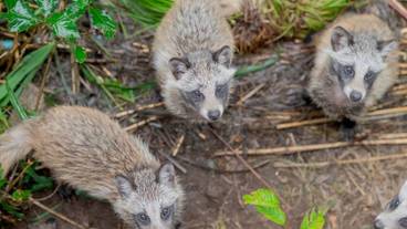 施設からの眺望 / 26