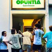 ゲストハウス オプンティア（石垣島）（沖縄県 ゲストハウス・ホステル・ドミトリー） / 3