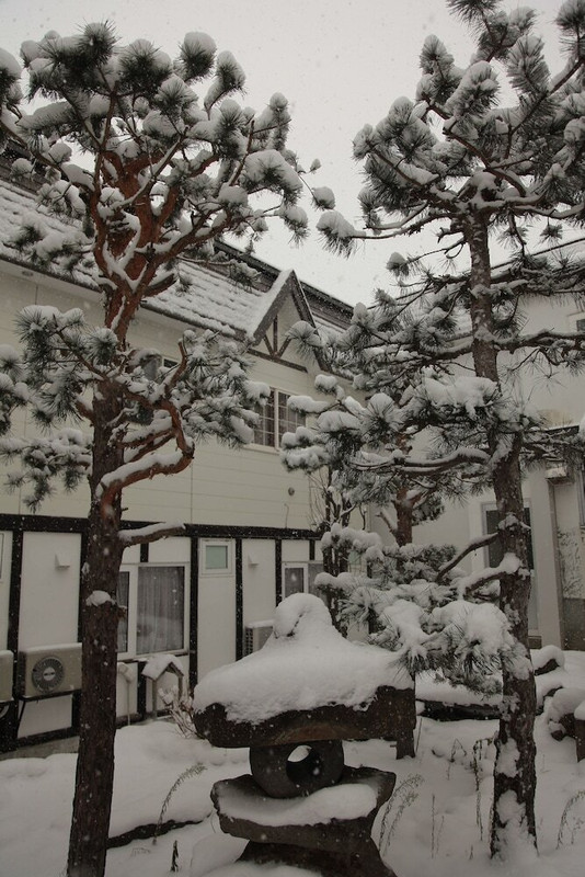 ガーデン ビュー