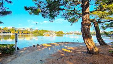 ランド ビュー / 16