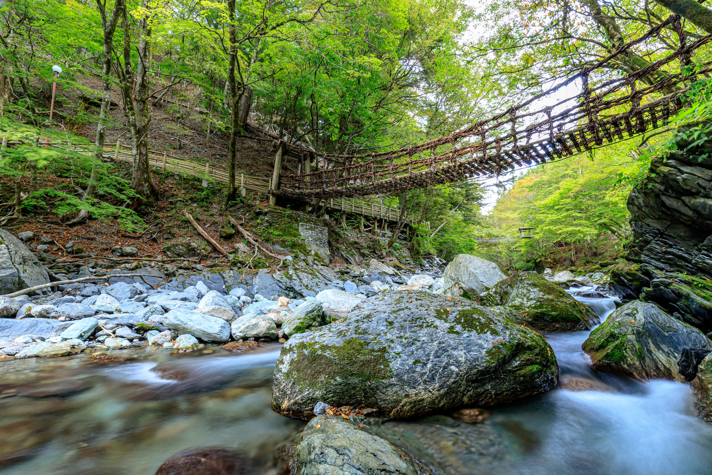 奥祖谷二重かずら橋　女橋　徳島県三好市