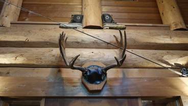 内装の詳細 / 14