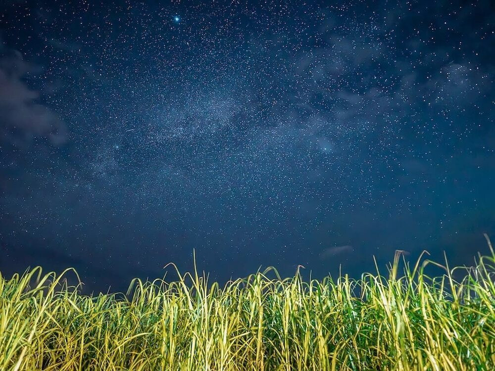部屋からの景観