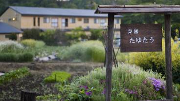 メイン イメージ / 1