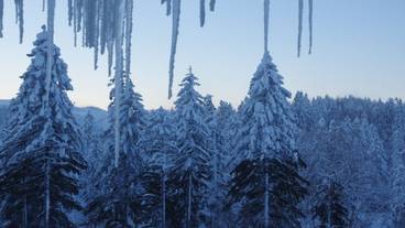 施設の敷地 / 11