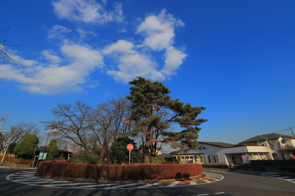 聖司くんと雫の仲が深まっていく場所3151643