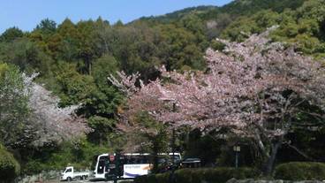 施設の敷地 / 27