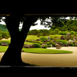 【日本一美しい庭園】島根の足立美術館がまるで絵画のよう