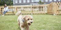 愛犬といっしょに那須旅行へ。ペットと同室宿泊OKのおすすめホテル＆旅館12選／栃木