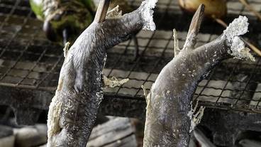 食事・飲み物 / 3