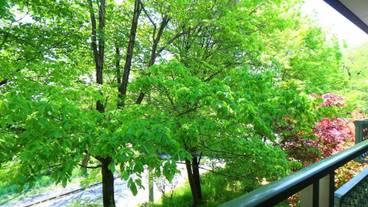 バルコニー / 14