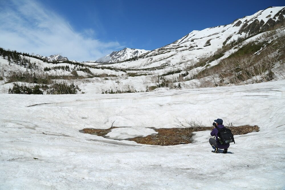 スノー スポーツとスキー