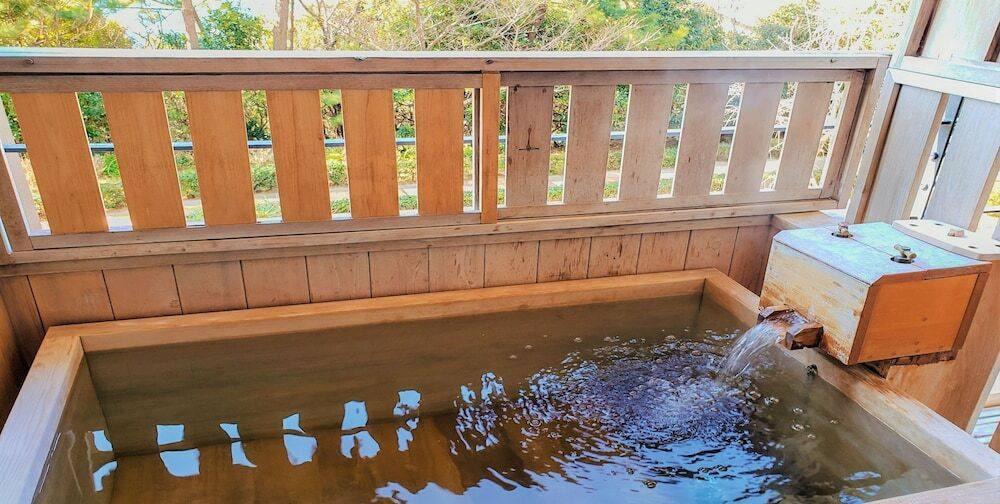 舟盛会席や熊野牛に舌鼓♪源泉掛け流し温泉でまったり4027703