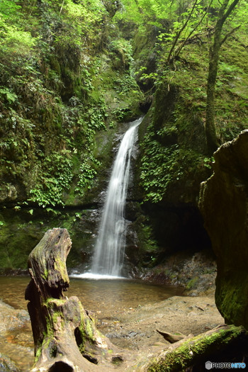 周辺のおすすめスポット：綾広の滝3918184