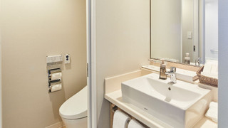 ニッコースーペリアルーム ラウンジアクセス付き 禁煙 11-12階