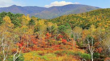 施設からの眺望 / 13