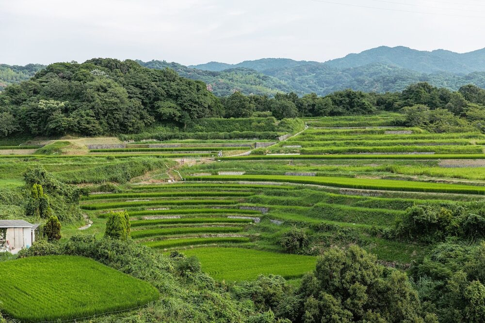 施設からの眺望