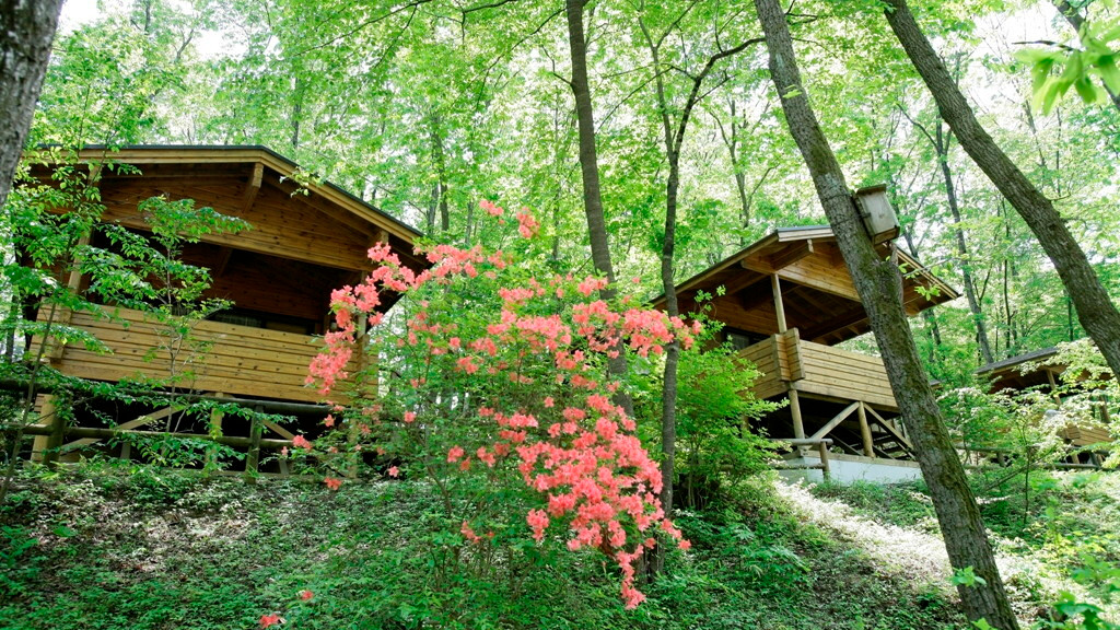 1.森の中のリゾートコテージ「PICA秩父」3536719