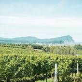 余市ヴィンヤードグランピング(北海道 グランピング) / 3