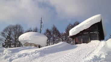 スノー スポーツとスキー / 11