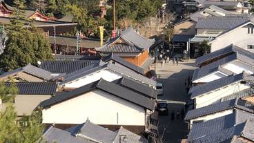 観光スポット / 19