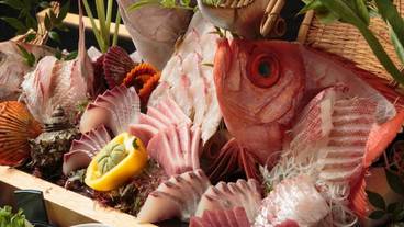 食事・飲み物 / 9