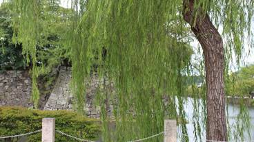 施設からの眺望 / 33