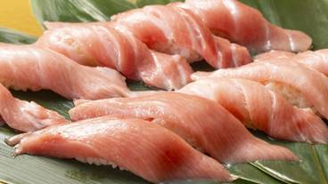 期間限定 本まぐろ寿司食べ放題 / 7